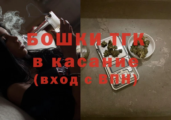 хмурый Мегион